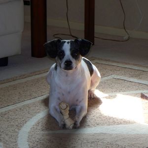 Meet your Posher, Kelli